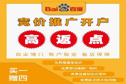 深入解析SEM竞价托管的成功案例